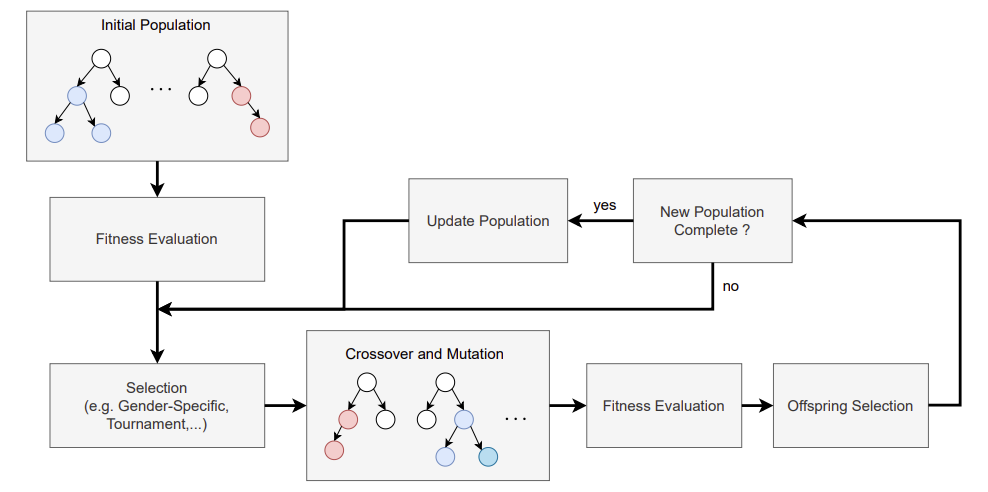 Genetic Programming Explanation